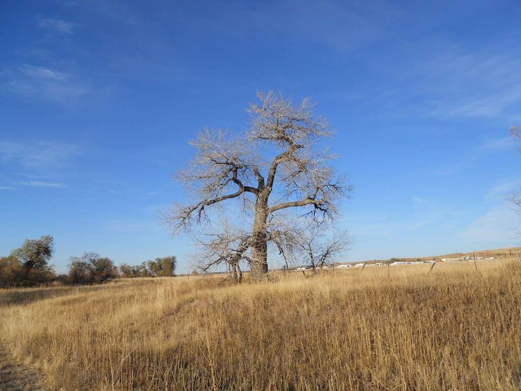 Cherry Creek Trail | Cherry Creek Trail, Parker, CO 80134, USA