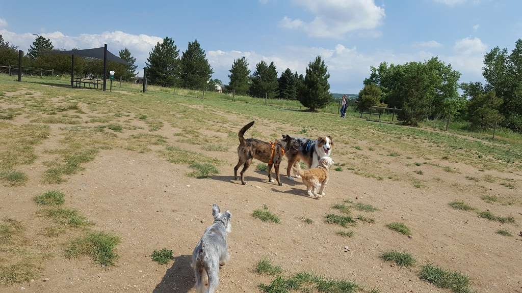 Hound Hill Dog Park | 9651 S Quebec St, Highlands Ranch, CO 80130, USA | Phone: (303) 791-2710