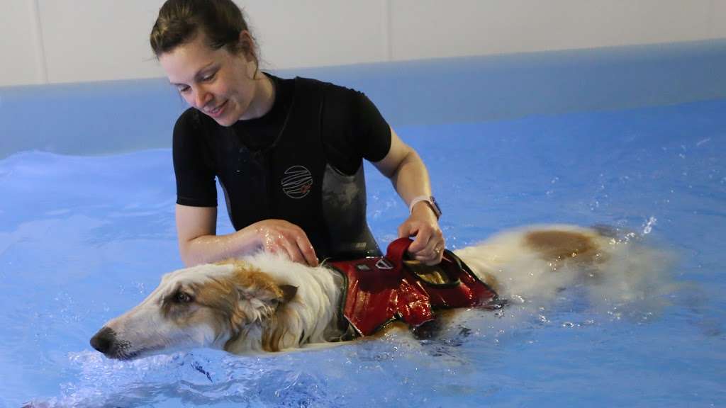 Pawsome Paddles Hydrotherapy Centre | Foxholes Farm, London Rd, Hertford SG13 7NT, UK | Phone: 07923 074372