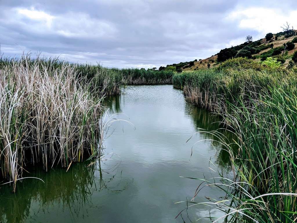 Coyote Hill Visitors Center | Fremont, CA 94555, USA | Phone: (510) 544-3220