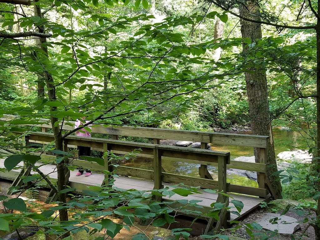 Evergreen Trail at Ricketts Glen | Benton, PA 17814, USA