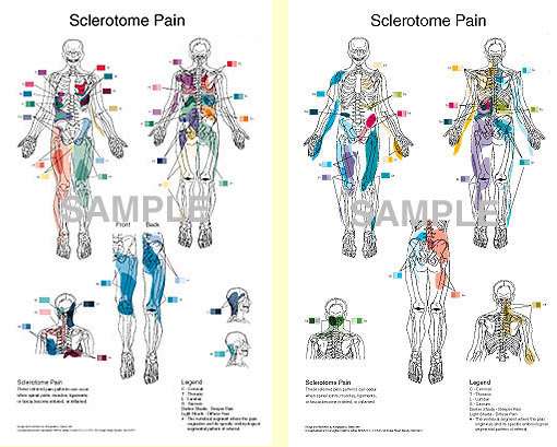 ClinicalCharts | 58 Dodge St, Beverly, MA 01915, USA | Phone: (877) 224-2787