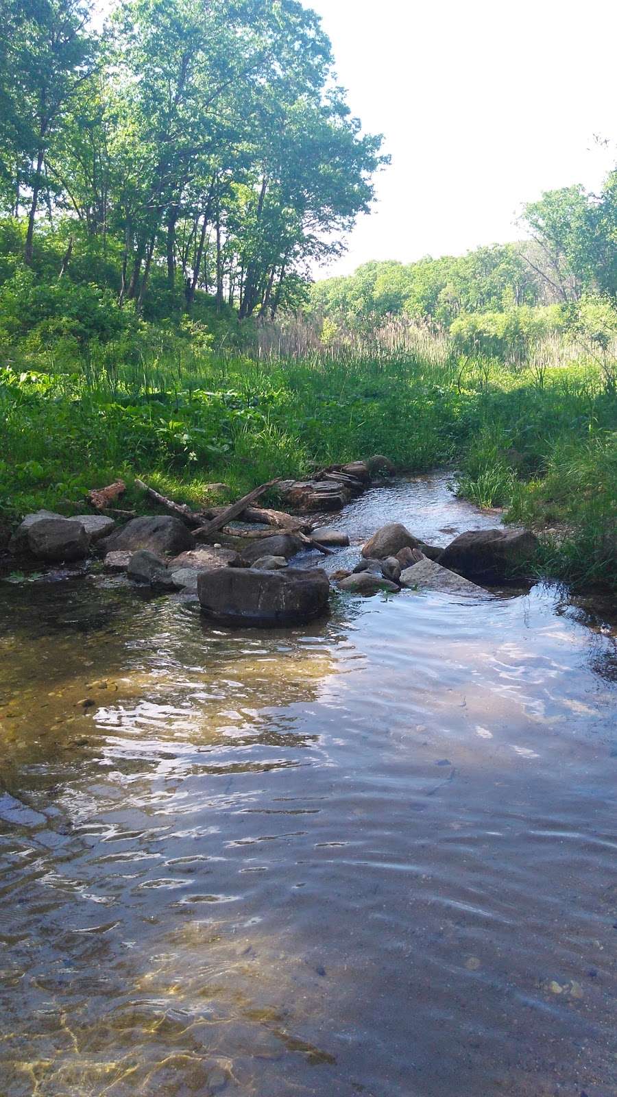 Clifford F. Messinger Dry Prairie & Savanna State Natural Area | State Park Road, Whitewater, WI 53190, USA | Phone: (888) 936-7463