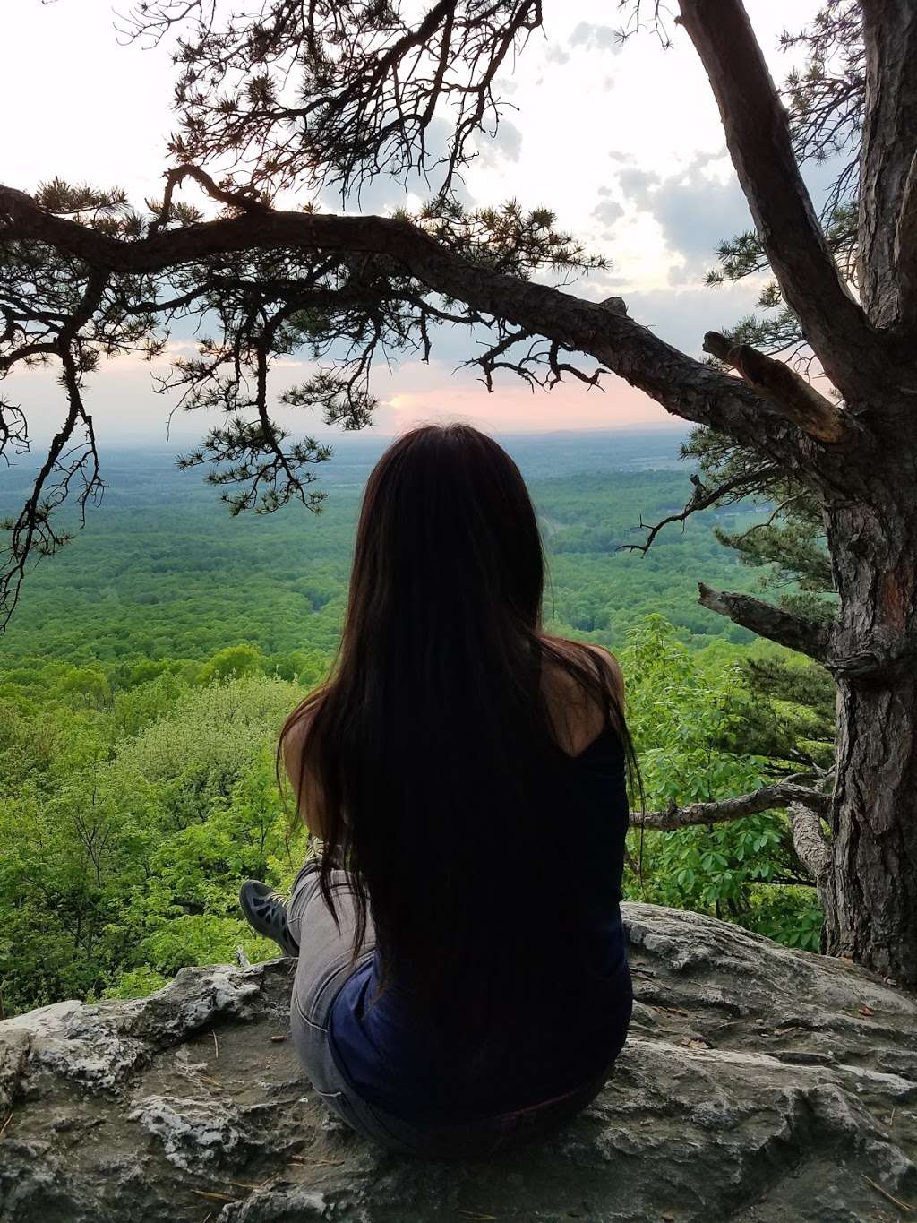 Snickers Gap - Appalachian Trailhead | Bluemont, VA 20135, USA