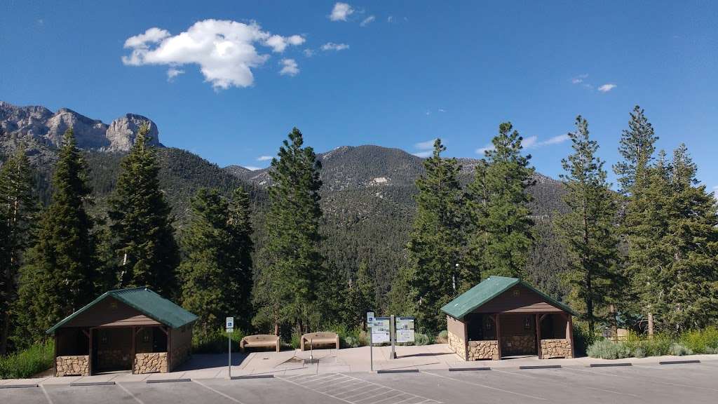 CATHEDRAL ROCK PICNIC AREA | Toiyabe, Coleville, NV 96107, USA | Phone: (801) 226-3564