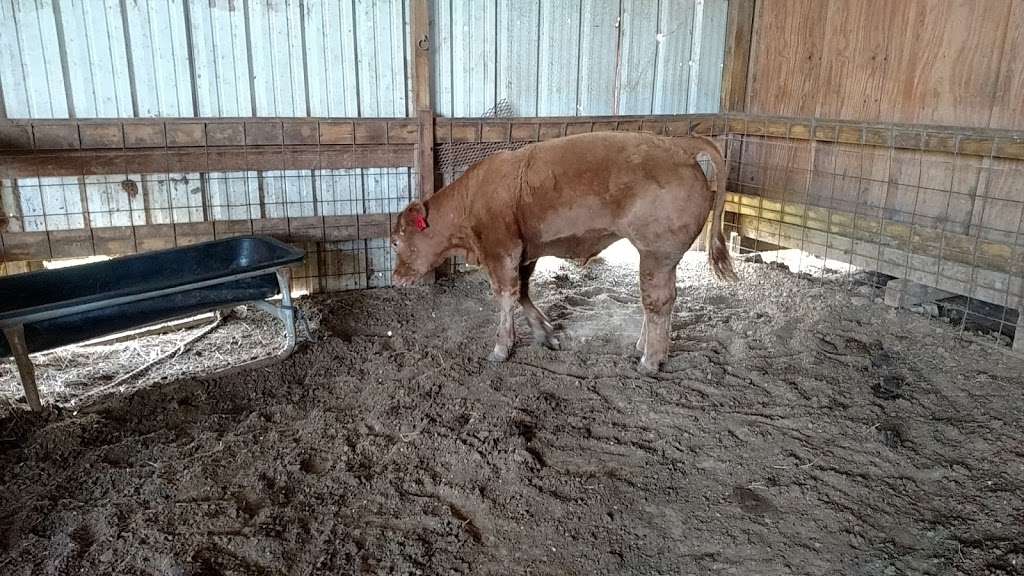 Huffman Collision Center | 30737 Huffman Cleveland Rd, Huffman, TX 77336, USA | Phone: (281) 361-5600