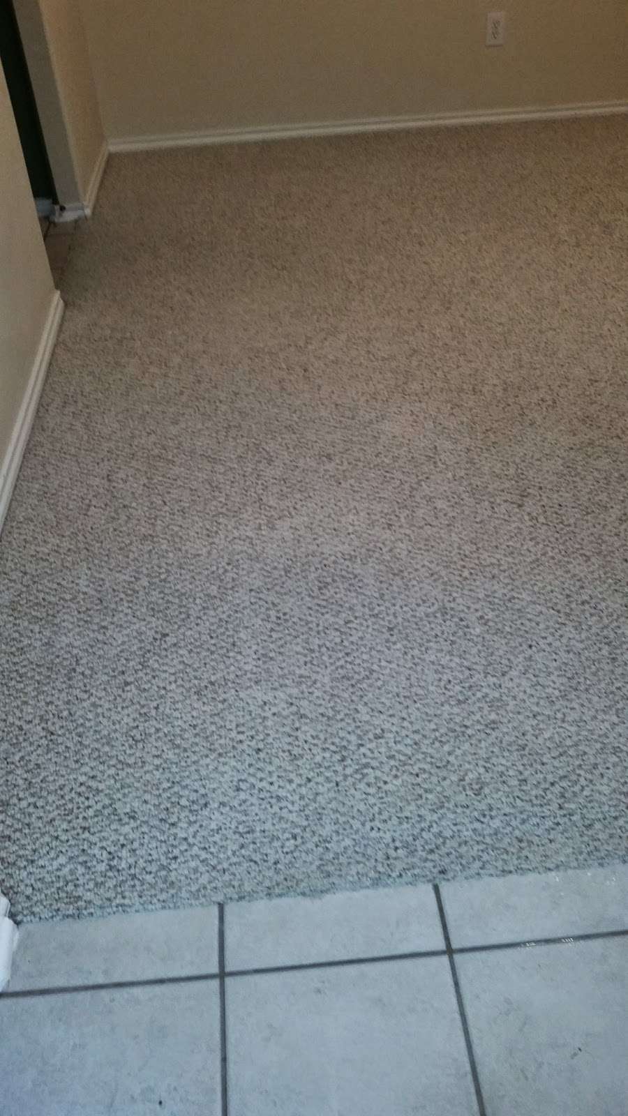 Mighty Kleen Carpet Services | 16700 Kuykendahl Rd, Houston, TX 77068 | Phone: (832) 573-4933