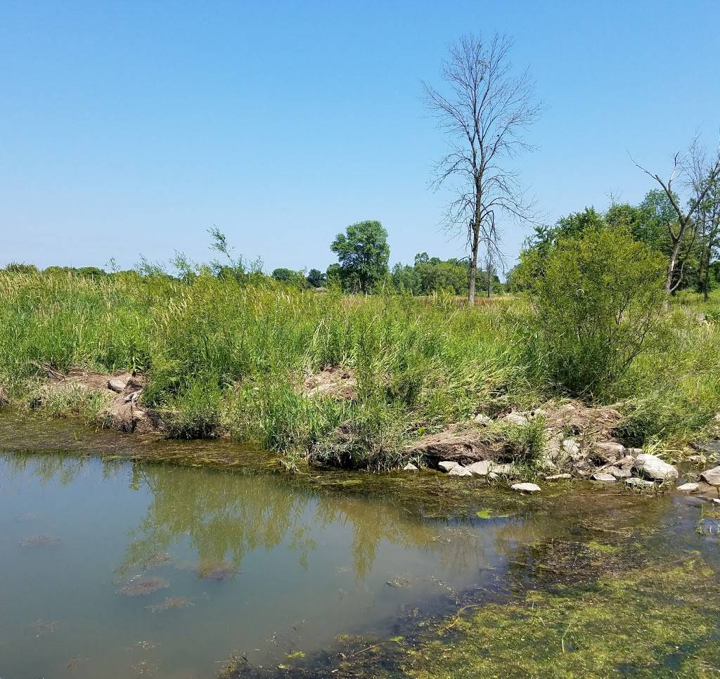 Mequon Nature Preserve | 8200 W County Line Rd, Mequon, WI 53097, USA | Phone: (262) 242-8055