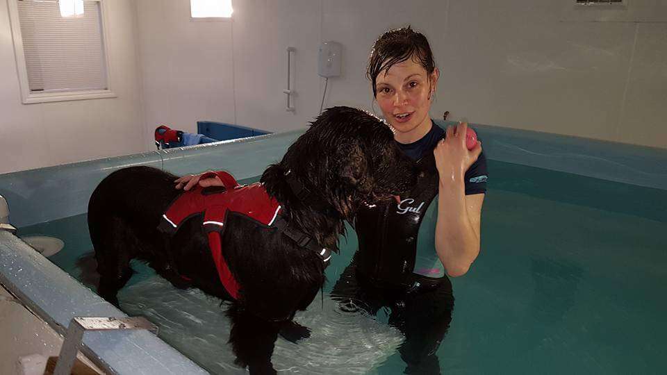 Pawsome Paddles Hydrotherapy Centre | Foxholes Farm, London Rd, Hertford SG13 7NT, UK | Phone: 07923 074372