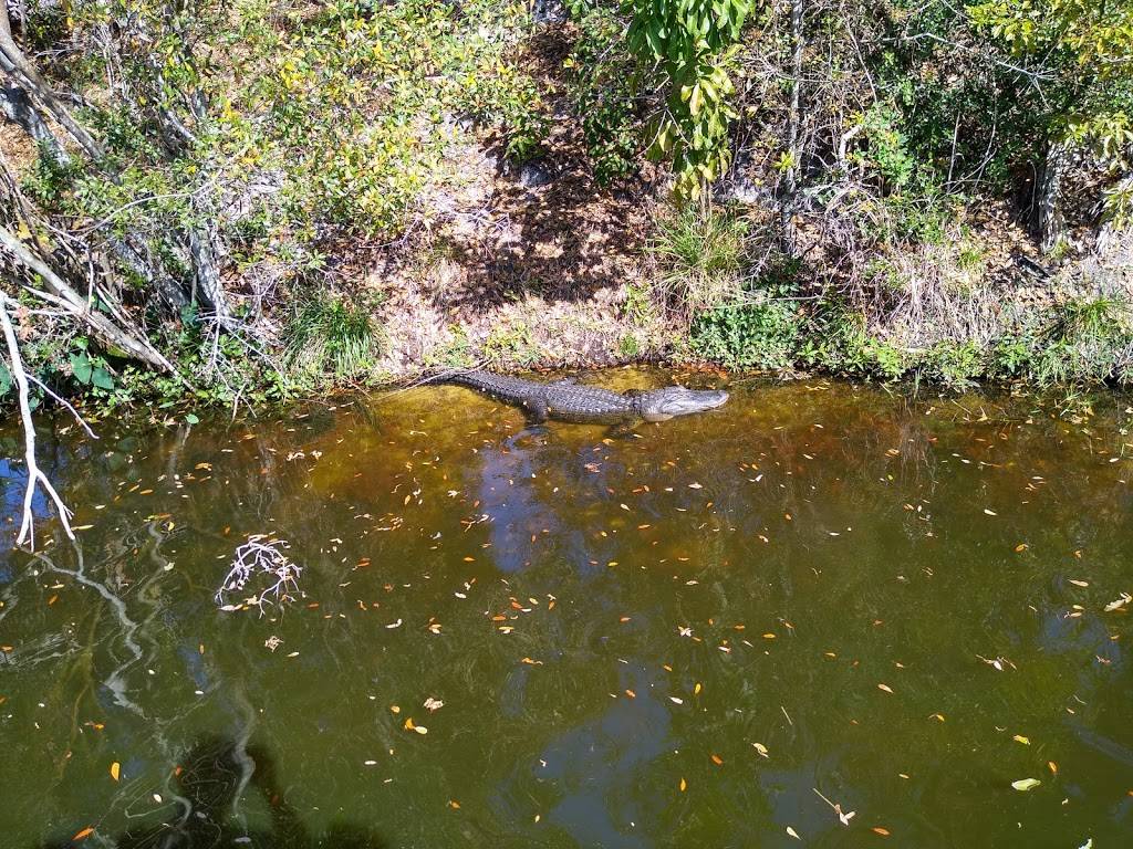 Largo Central Park Nature Preserve | 150 Highland Ave N, Largo, FL 33770, USA | Phone: (727) 586-7415