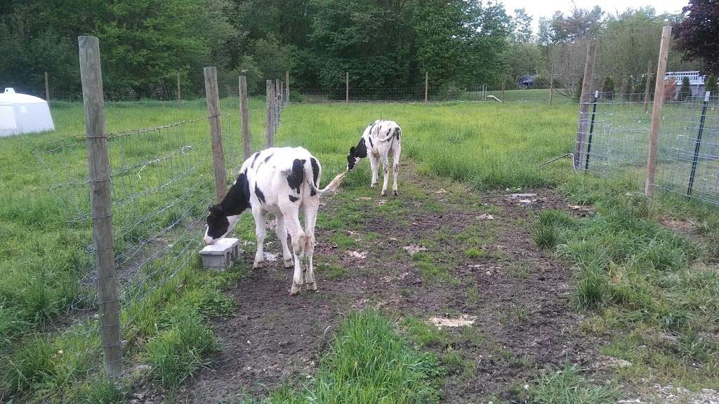 Shaw Farm Dairy Inc | 204 New Boston Rd, Dracut, MA 01826, USA | Phone: (978) 957-0031