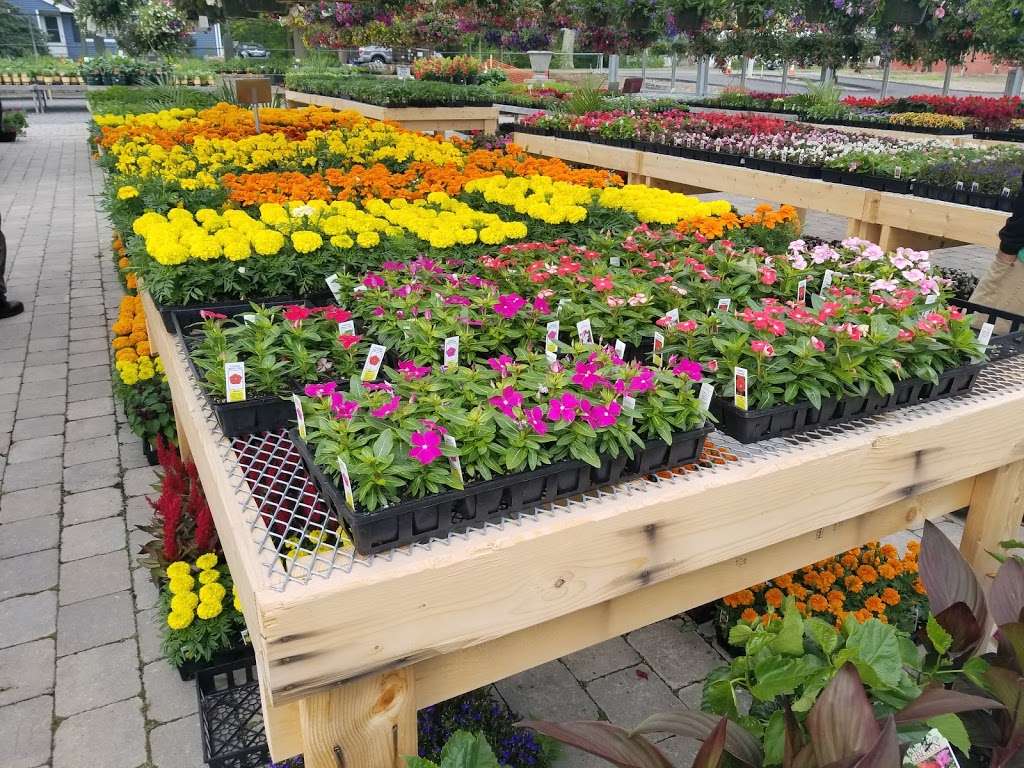 Polillios Garden Center | 1883 Central St, Stoughton, MA 02072 | Phone: (781) 344-2783