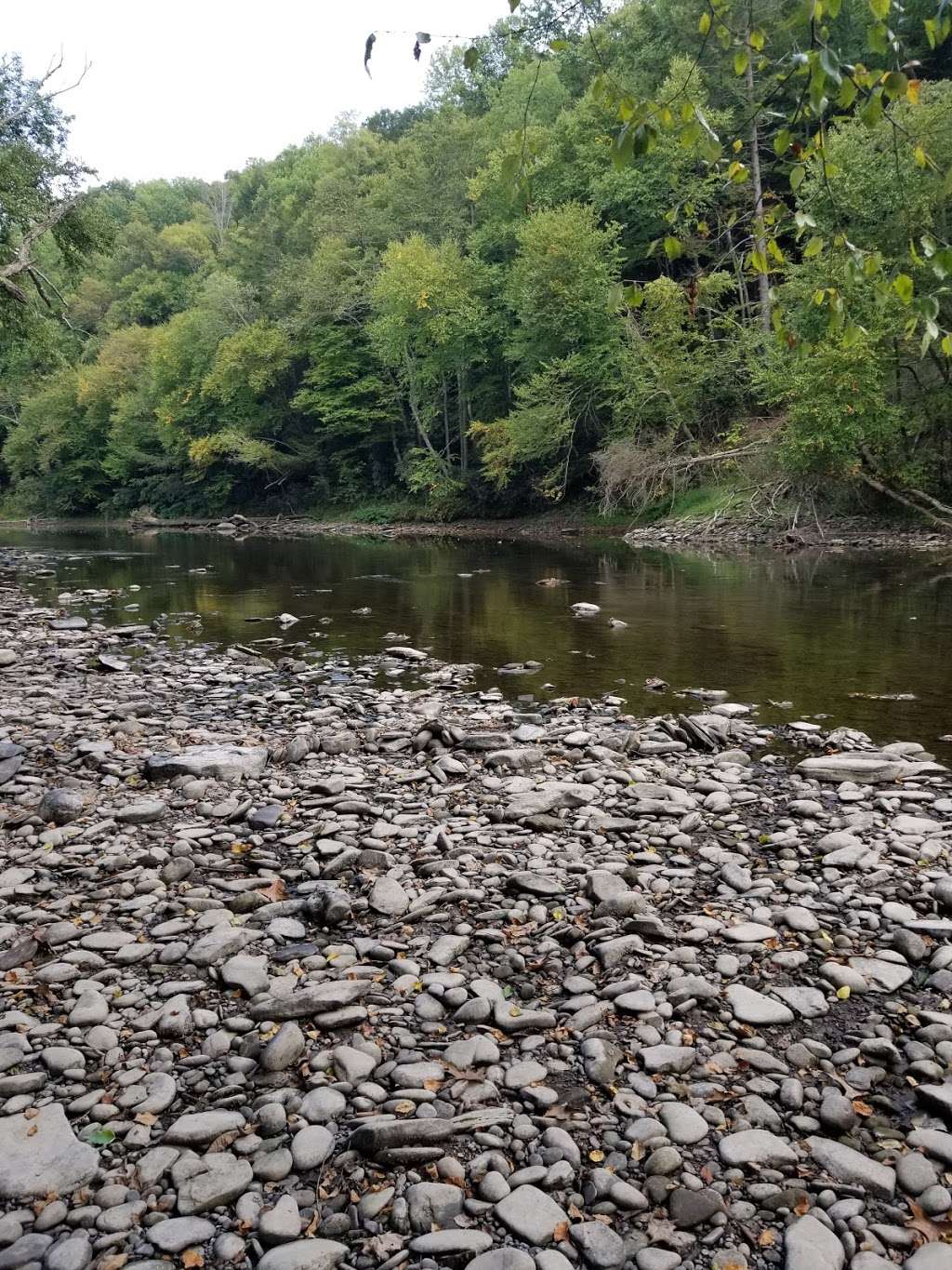 Lazy Brook Park | Brookside Park, Tunkhannock, PA 18657, USA