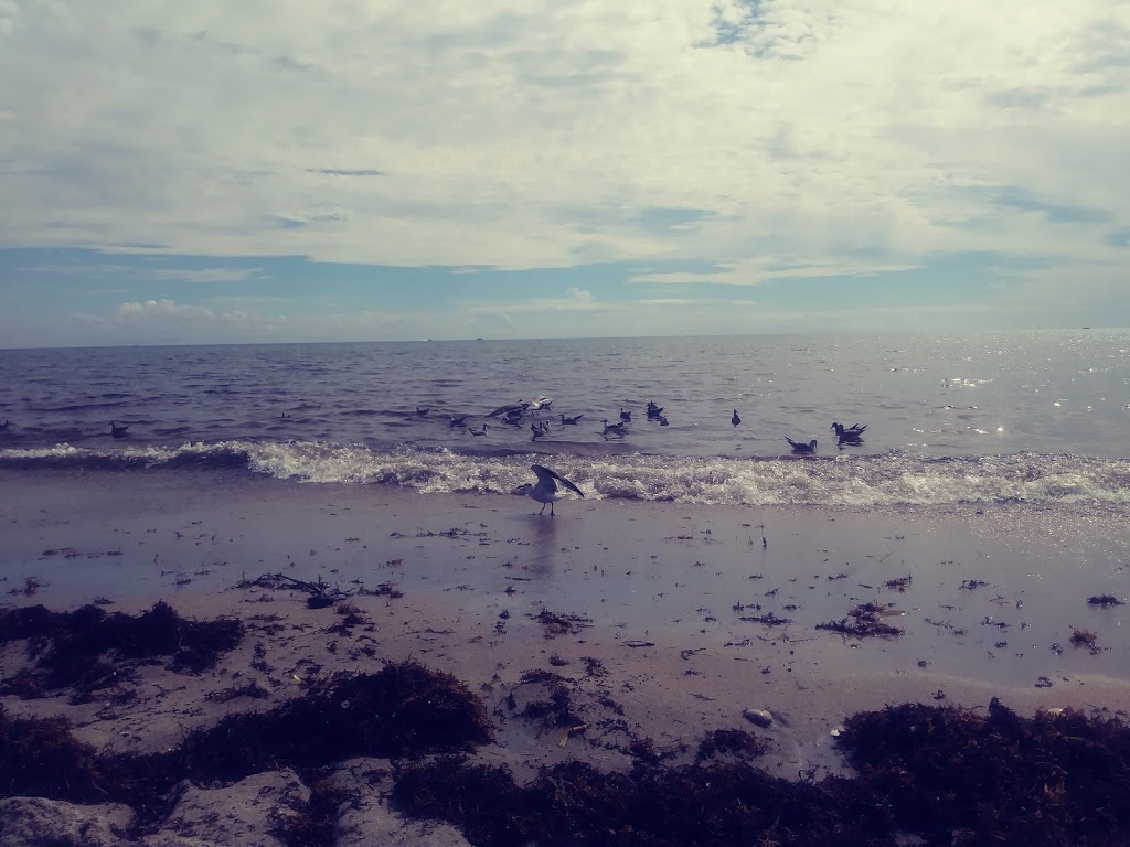 Douglas Street Parking | 398 Douglas St, Hollywood, FL 33019, USA | Phone: (954) 921-3535