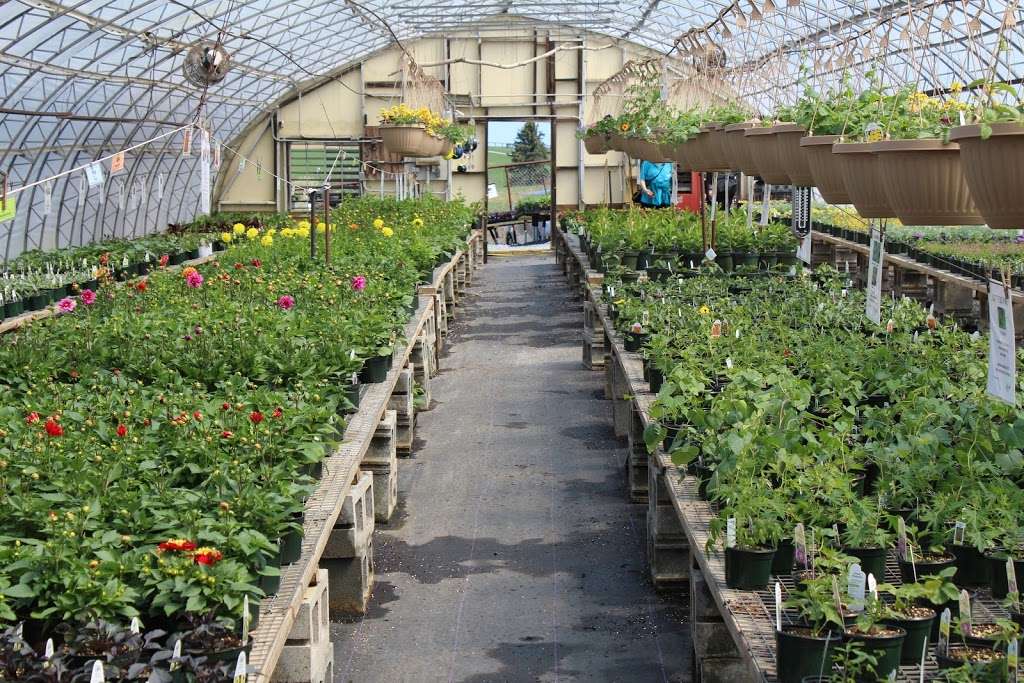 Groffs Plant Farm | 6128 Street Rd, Kirkwood, PA 17536, USA | Phone: (717) 529-3001