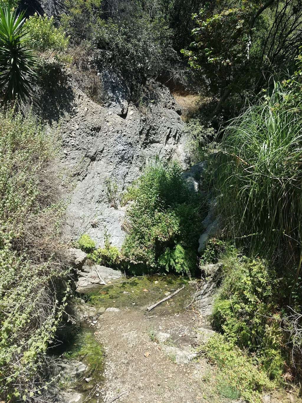 Temescal Canyon Falls | Pacific Palisades, CA 90272, USA