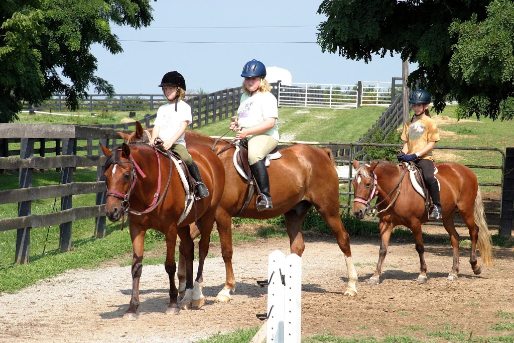 Sunburst Horsemanship School | 1129 Durham Ln, Nicholasville, KY 40356, USA | Phone: (859) 224-8480