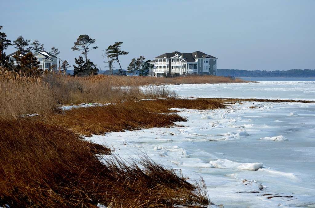 Holts Landing State Park | Holts Landing Road, Park office at 39415 Inlet Rd., Rehoboth Beach, DE, Dagsboro, DE 19939, USA | Phone: (302) 227-2800