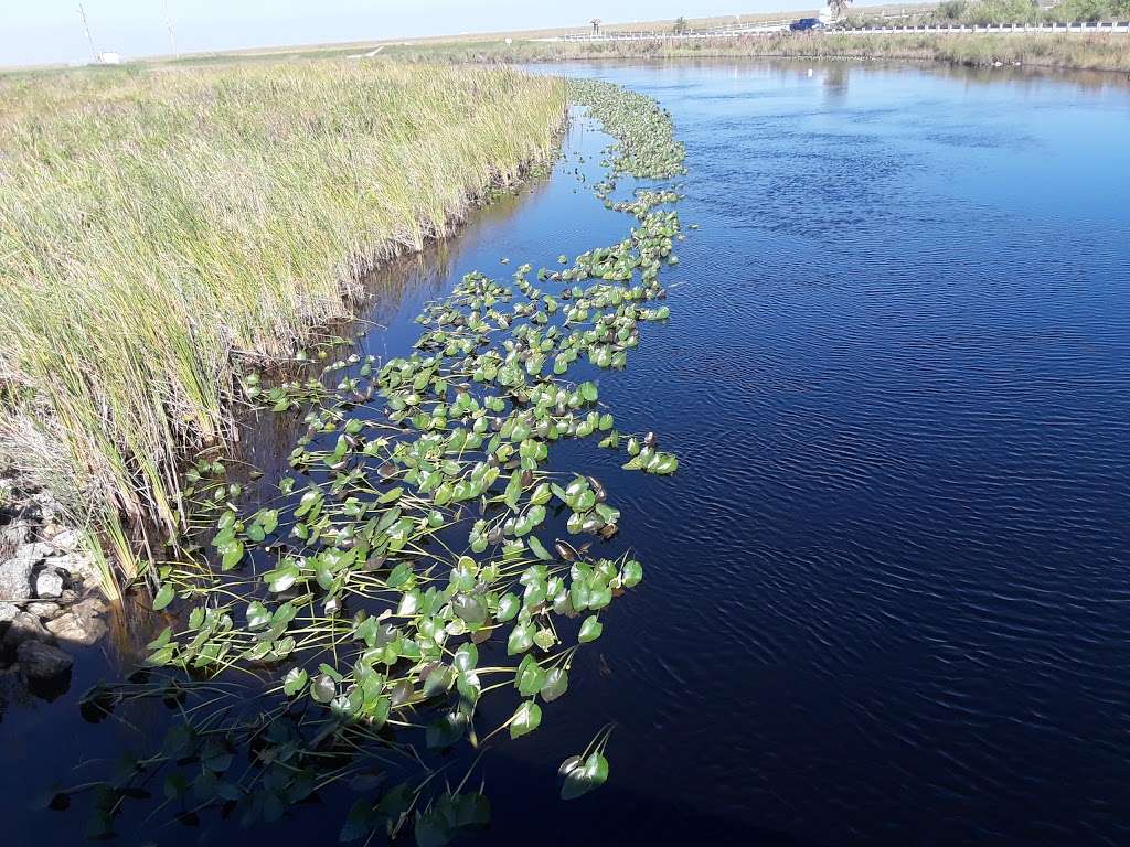 Stormwater Public Access Wildlife Observation Center | Florida, USA