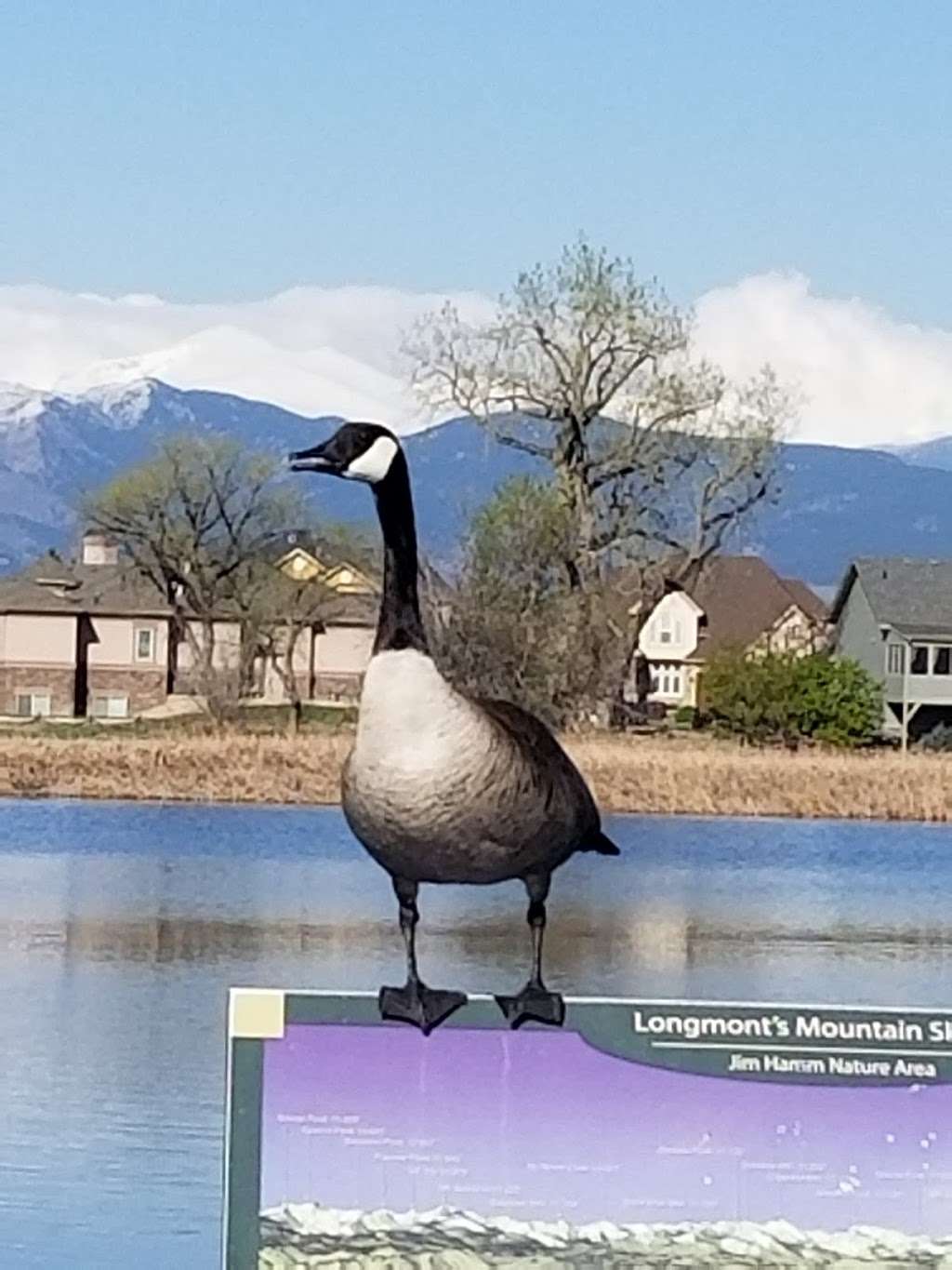 Jim Hamm Nature Area | 1701 E County Line Rd, Longmont, CO 80504, USA | Phone: (303) 651-8446