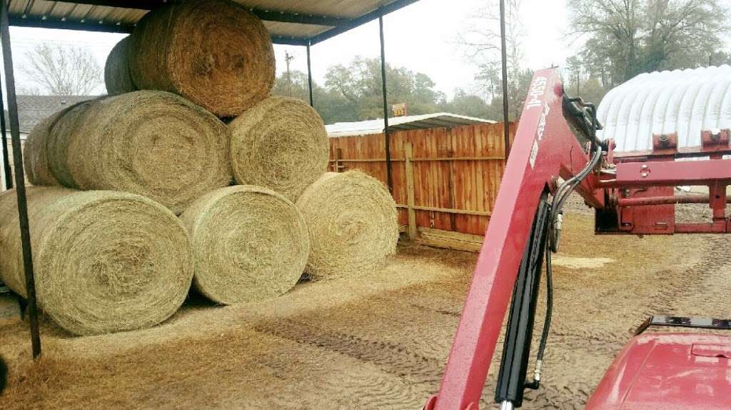 Odalys Hay & Feed Co. | 22380 TX-105, Cleveland, TX 77328, USA | Phone: (281) 592-0300