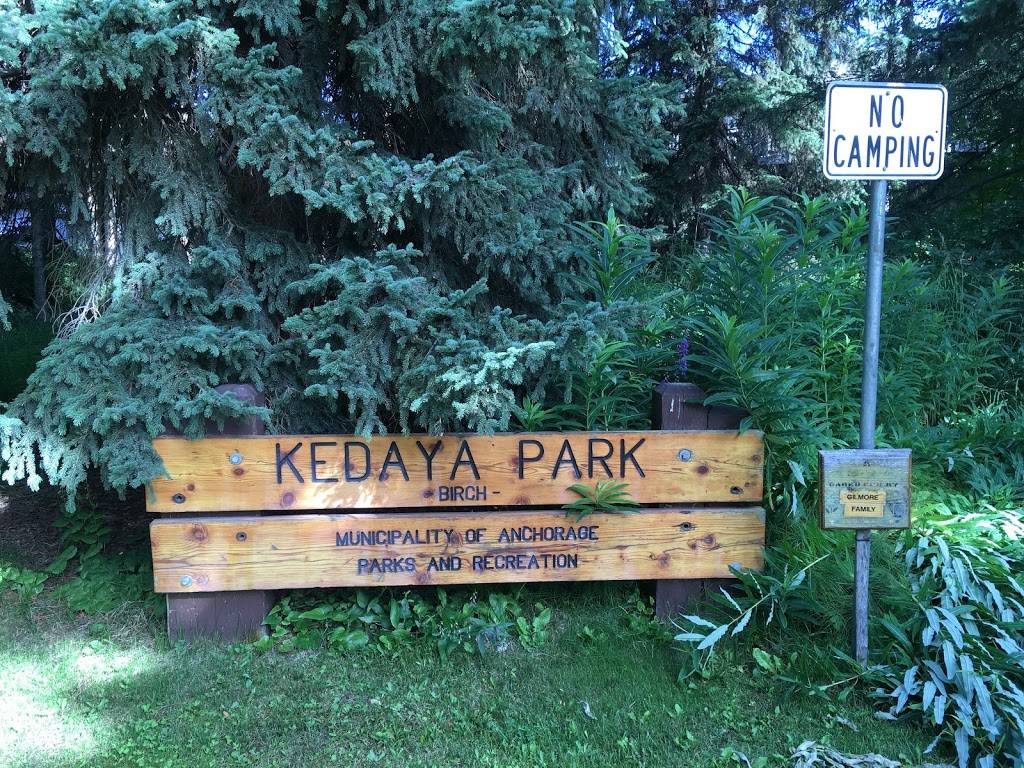 Kedaya Park | 1437 Virginia Ct, Anchorage, AK 99501, USA | Phone: (907) 343-4355