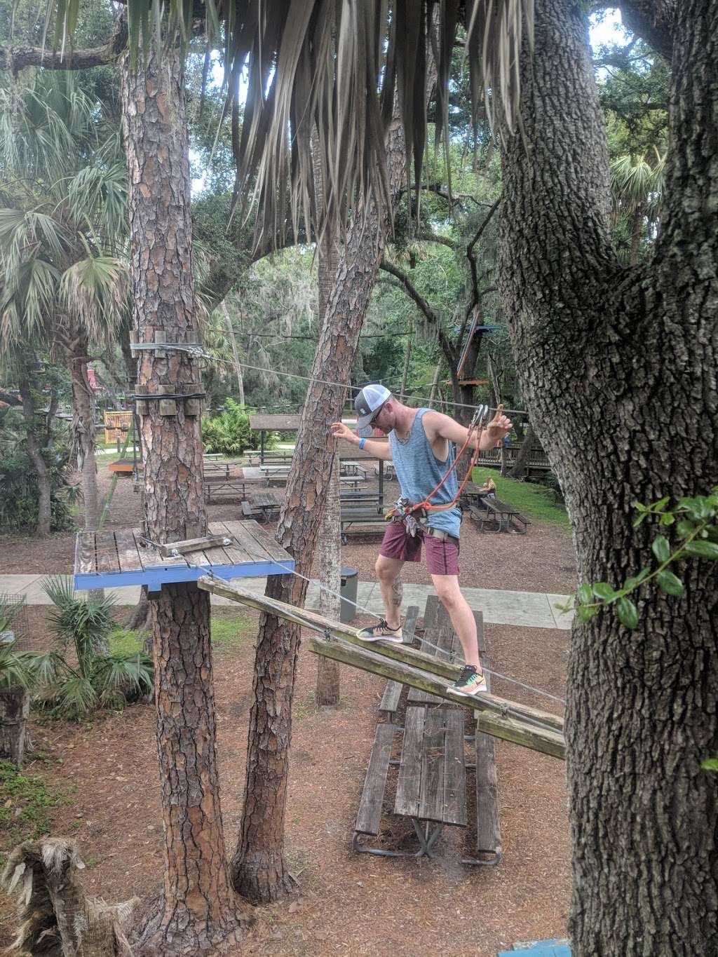 Seminole Aerial Adventures at the Central Florida Zoo & Botanica | 3755 W Seminole Blvd, Sanford, FL 32771, USA | Phone: (407) 330-0767