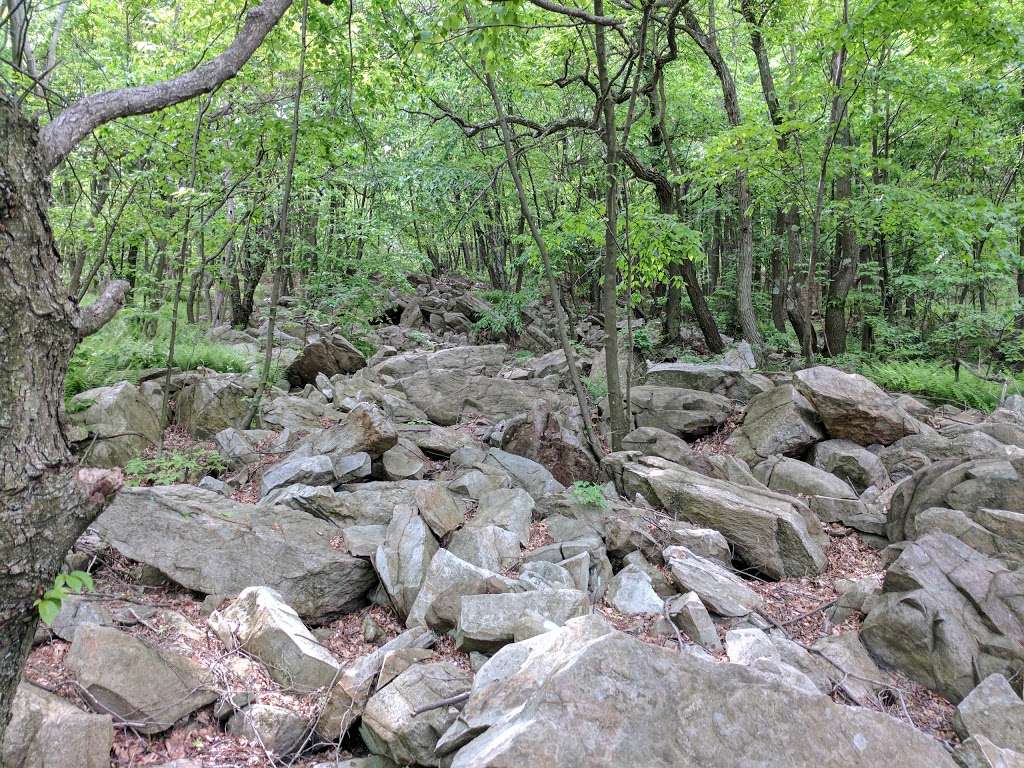 Woodpecker Trailhead | Appalachian Trail, Slatington, PA 18080