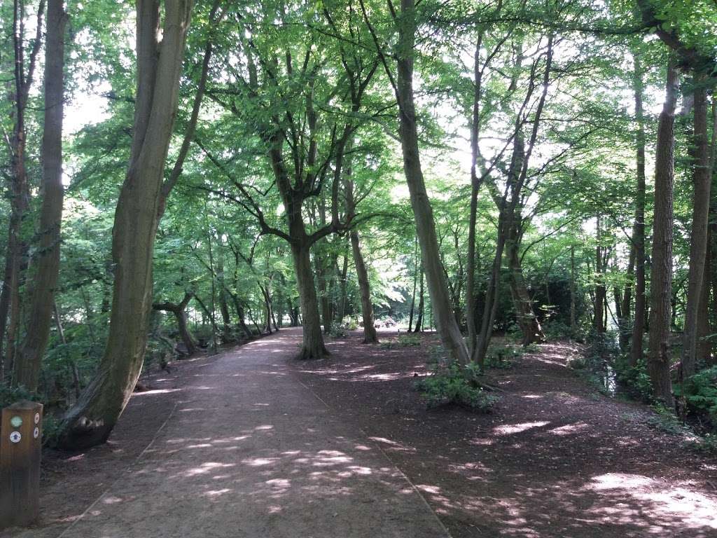 Whitewebb Forest Pond | Enfield EN2 9HH, UK