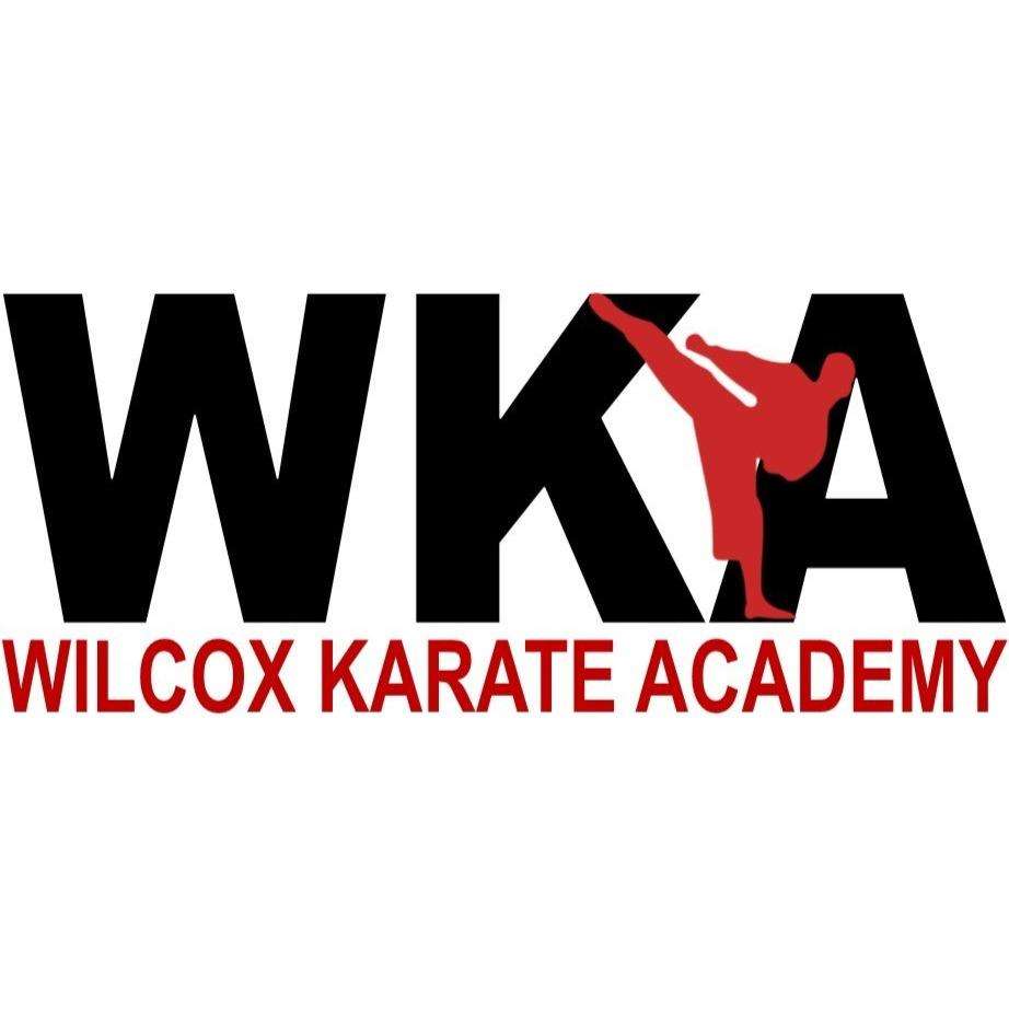 Wilcox Karate Academy | 1600 S Noland Rd, Independence, MO 64055, USA | Phone: (816) 659-7777