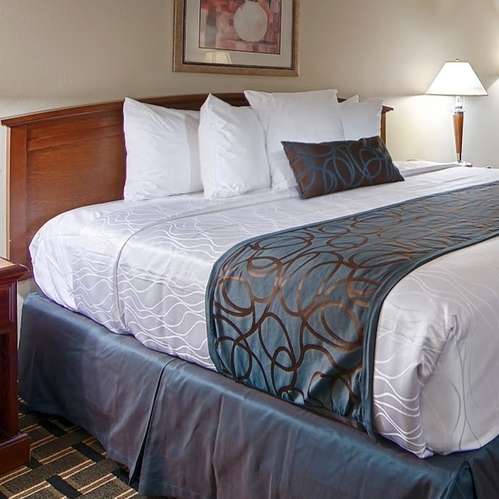 Best Western Sterling Hotel & Suites | 242 E Woodlawn Rd, Charlotte, NC 28217, USA | Phone: (704) 525-5454