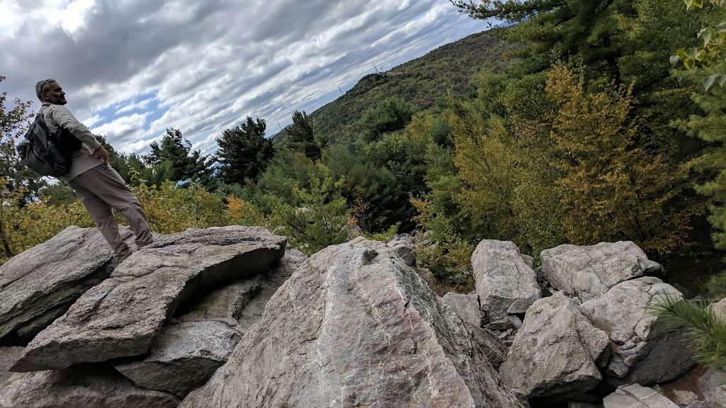 Weathering Knob | Appalachian Trail, Danielsville, PA 18038