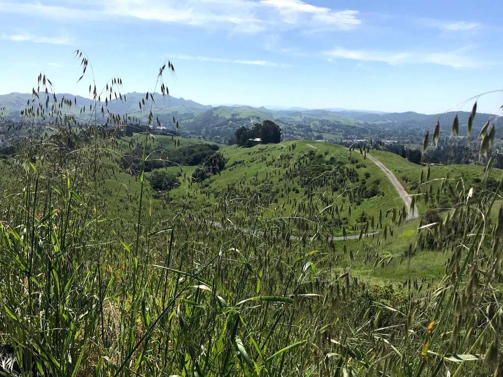 Mulholland Ridge Open Space | 37°5105. 122°0747. 1100, Donald Dr, Moraga, CA 94556 | Phone: (925) 888-7045