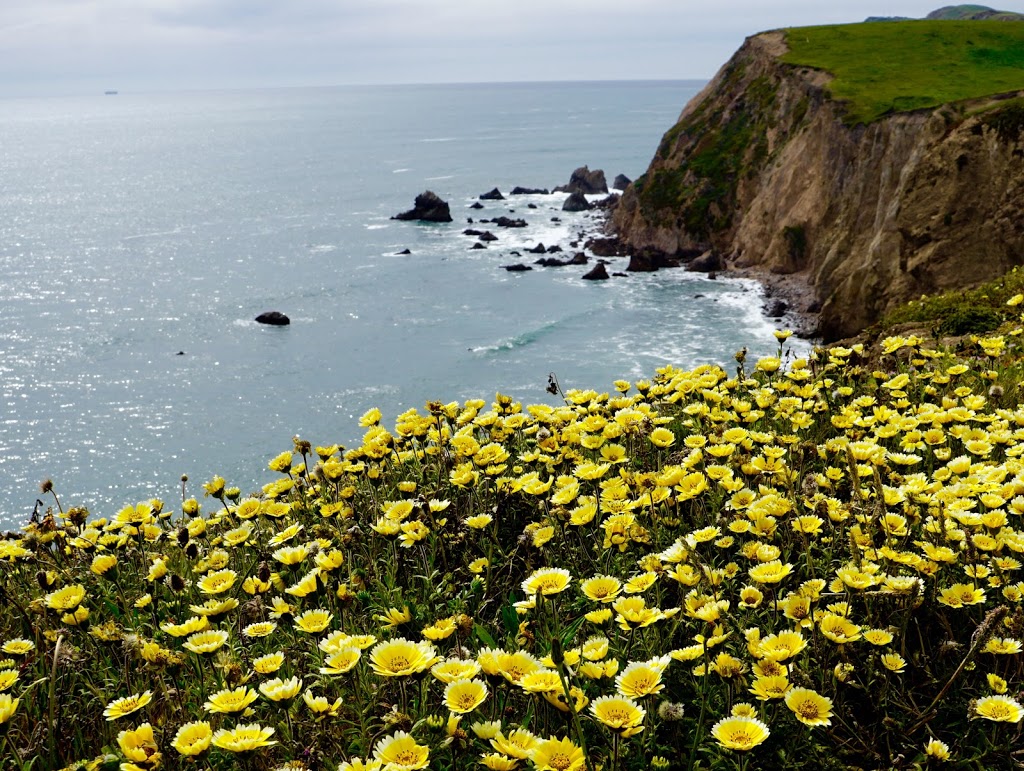 Chimney Rock | Point Reyes Station, CA 94956, USA