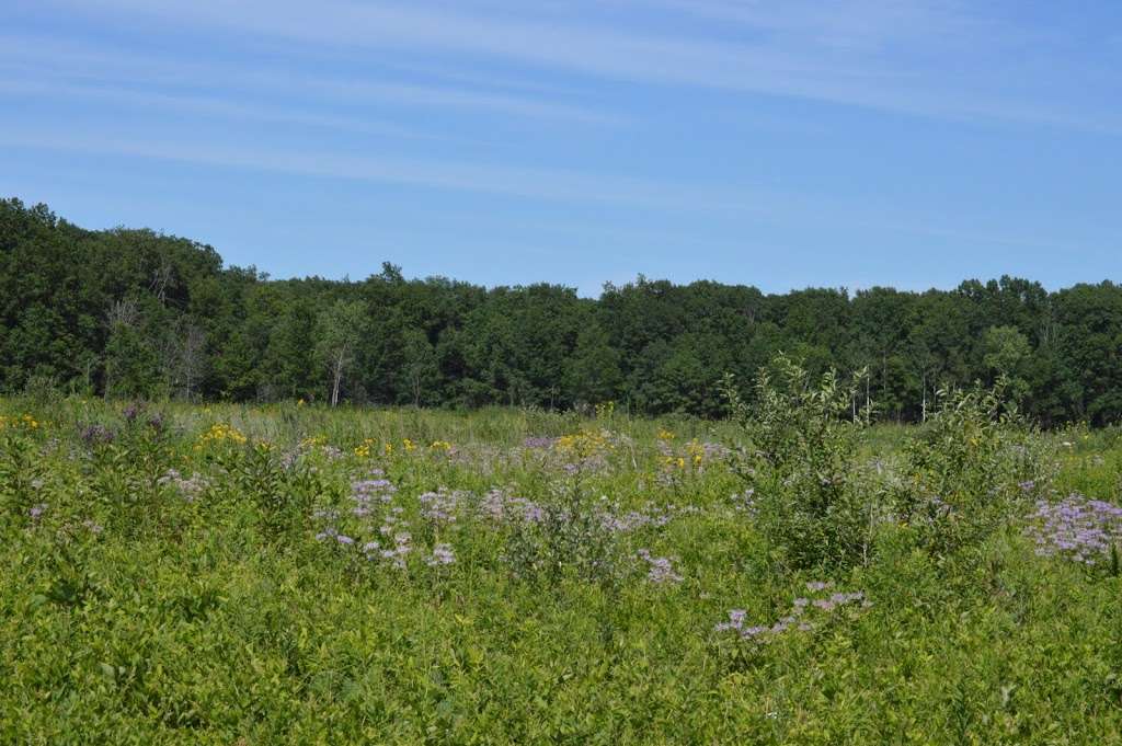 Mnoke Prairie | Porter, IN 46304, USA