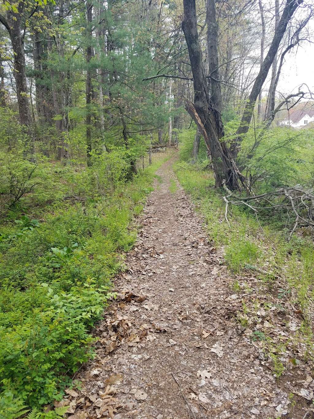 Tom Paul Trail | 58 Main St, Westford, MA 01886, USA