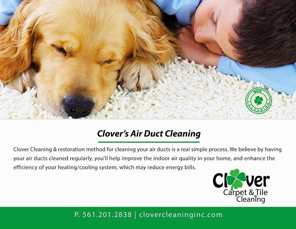 Clover Carpet and Tile Cleaning | 432 Bluebird Ln, Delray Beach, FL 33445, USA | Phone: (561) 201-2838