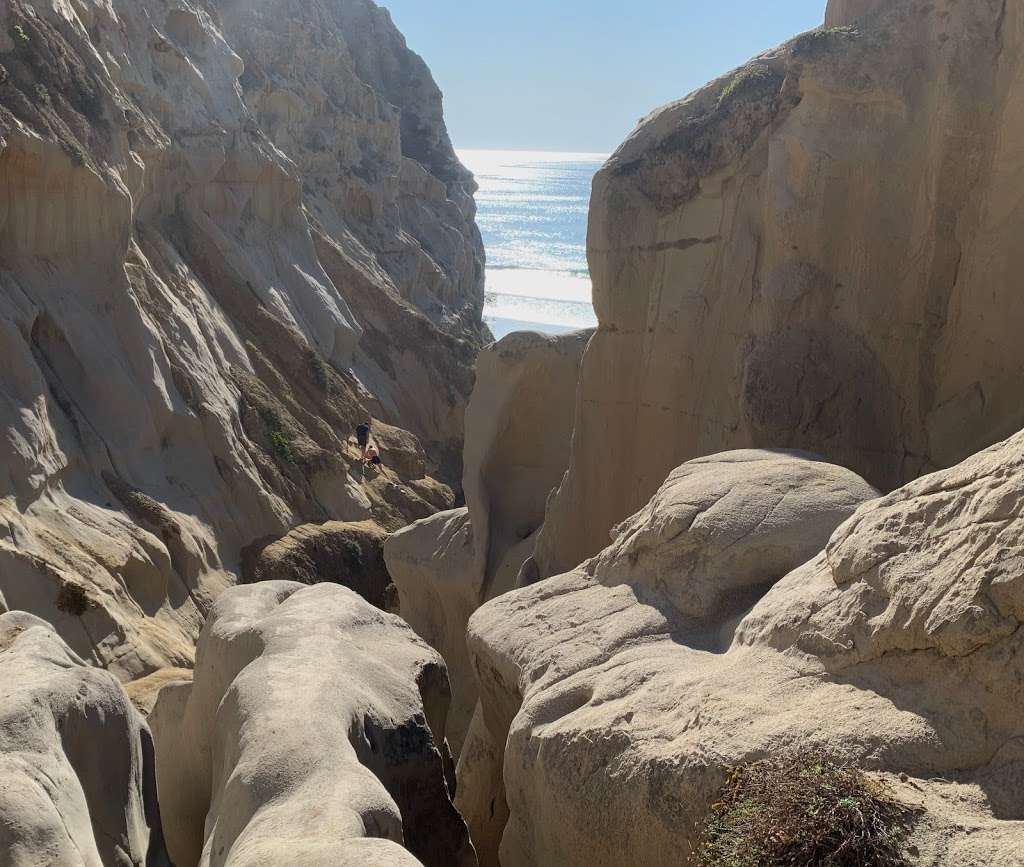 Salk Institute Beach trail | Unnamed Road, 92037, La Jolla, CA 92037, USA