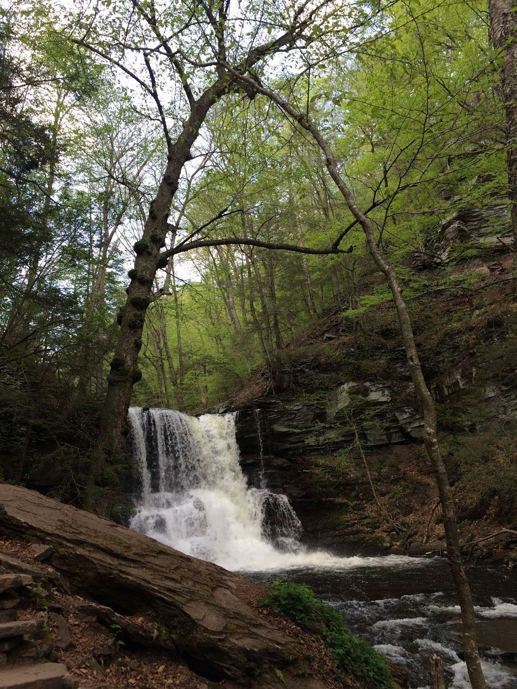 Ricketts Glen State Park | 695 State Route 487, Benton, PA 17814, USA | Phone: (570) 477-5675