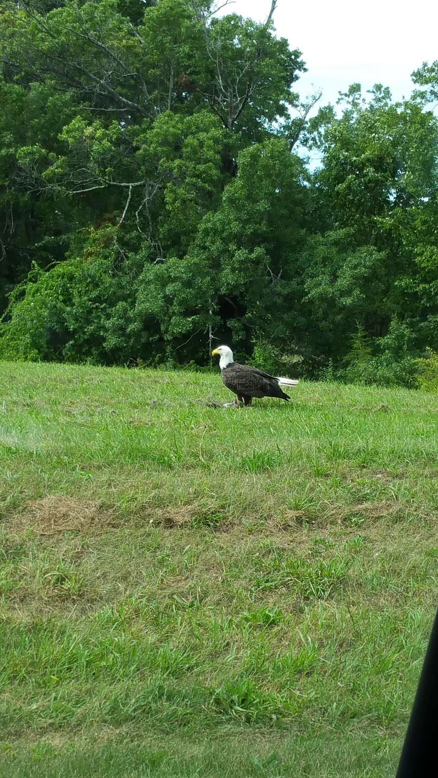 Skylands Stadium | 94 Championship Place, Augusta, NJ 07822, USA | Phone: (973) 383-7644