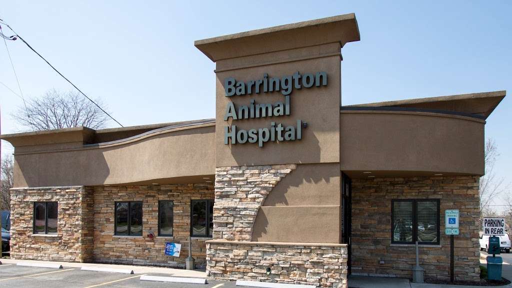 Barrington Animal Hospital | 216 S Northwest Hwy, Barrington, IL 60010 | Phone: (847) 381-4100