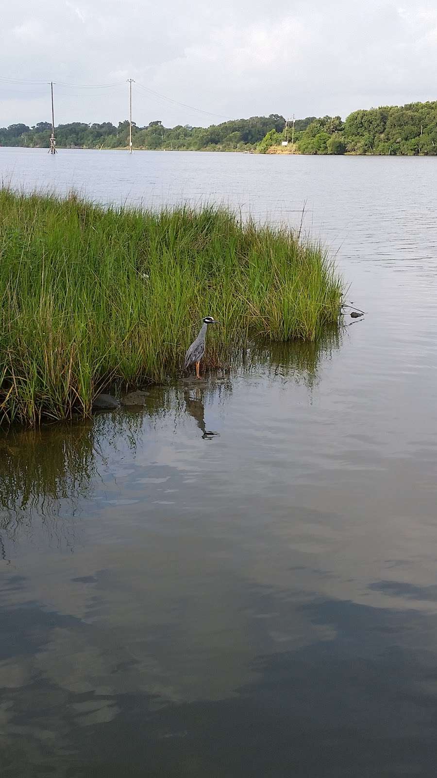 Baronridge Park | 903 Baronridge Dr, Seabrook, TX 77586, USA