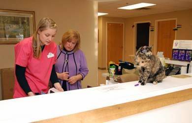 Smith Veterinary Hospital | 1110 State Hwy 13, Burnsville, MN 55337, USA | Phone: (952) 736-8278