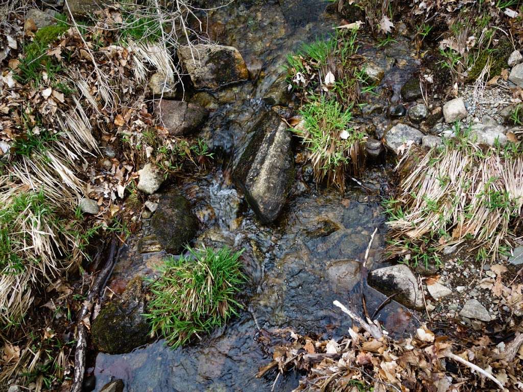 White Bar Trail (white markers) | Tuxedo, NY 10975, USA