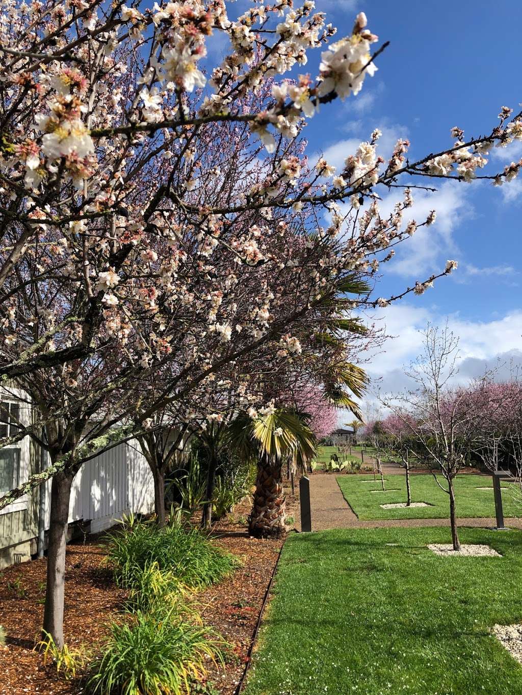 The Orchard at Carneros Resort and Spa | 4048 Sonoma Hwy, Napa, CA 94559, USA | Phone: (707) 226-3441