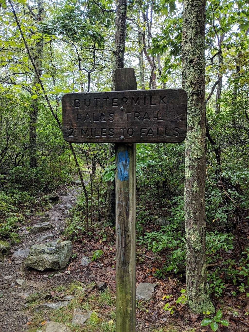 Appalachian Trail | Unnamed Road, Layton, NJ 07851, USA