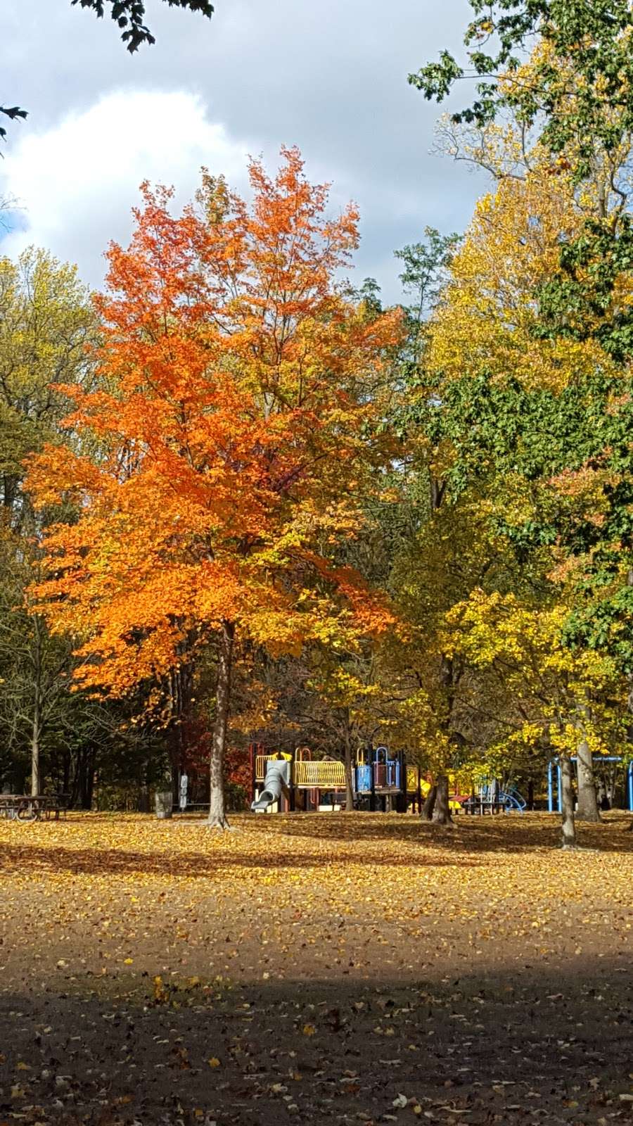 Dunkerhook Area Parking Lot | Paramus, NJ 07652, USA