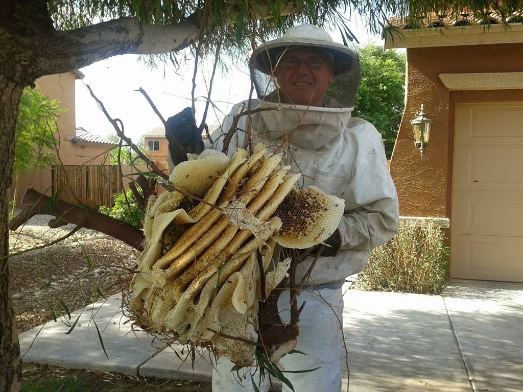 The Beehive Bee and Wasp Removal | 1852 E Bruce Ave, Gilbert, AZ 85234, USA | Phone: (602) 600-5382