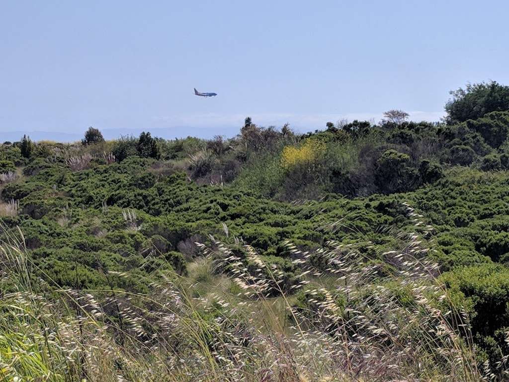 Oyster Bay Regional Shoreline Park | San Leandro, CA 94577