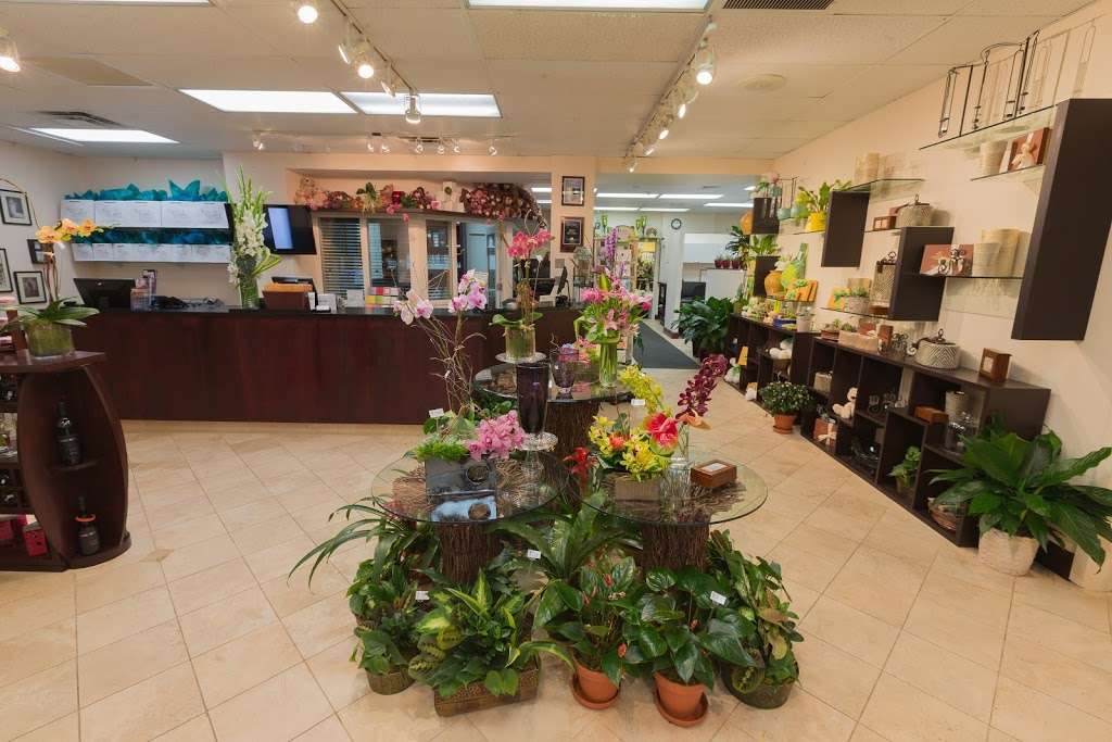 Karins Florist | 527 Maple Ave E, Vienna, VA 22180 | Phone: (703) 281-4141